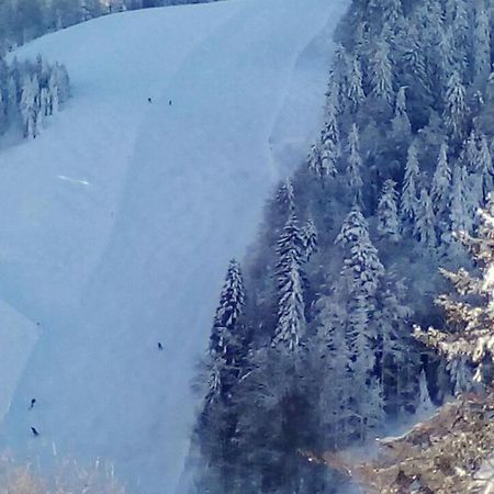 Hotel Sternen Lenzkirch Dış mekan fotoğraf
