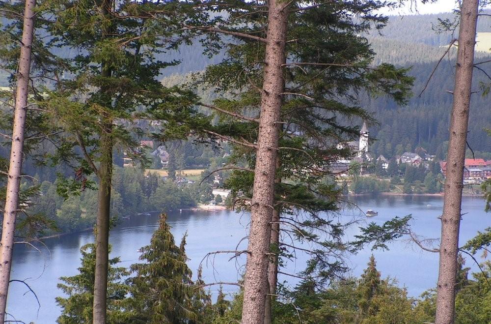 Hotel Sternen Lenzkirch Dış mekan fotoğraf
